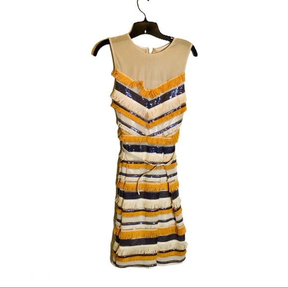 Eva Mendes Sabine striped fringe sequin dress 0 - Picture 7 of 10